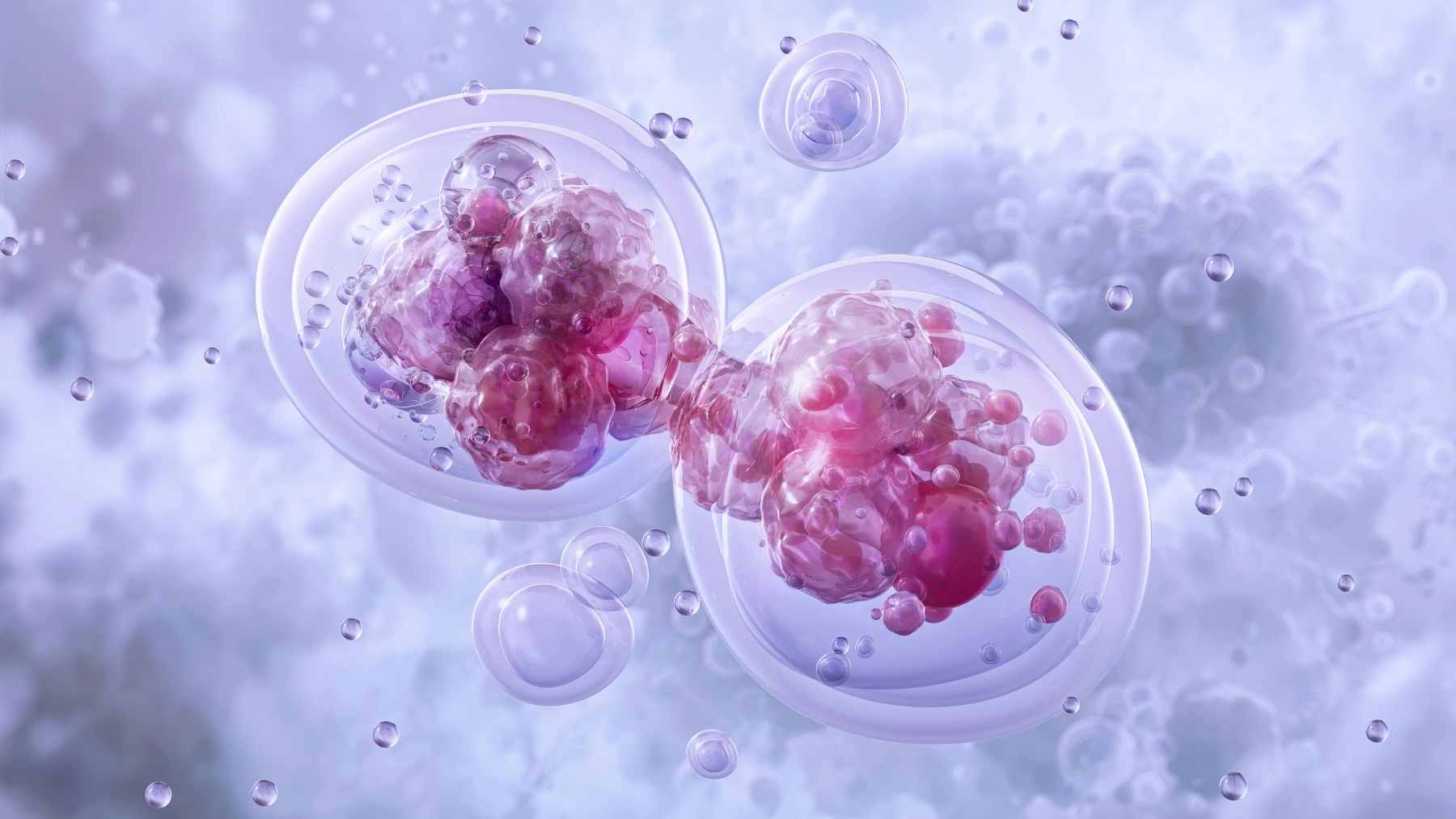 A microscopic 10-micrometer elephant 3D printed inside the cytoplasm of a living HeLa cell using two-photon polymerization.