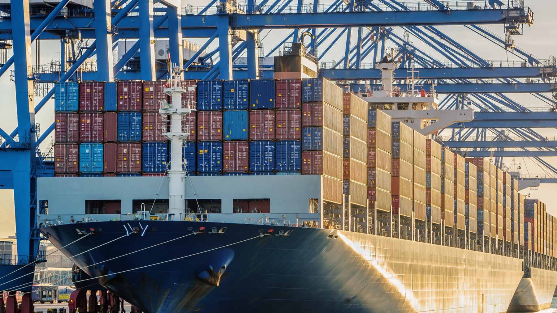 Rows of stacked shipping containers delayed at a U.S. port customs clearance checkpoint due to insufficient bond coverage.
