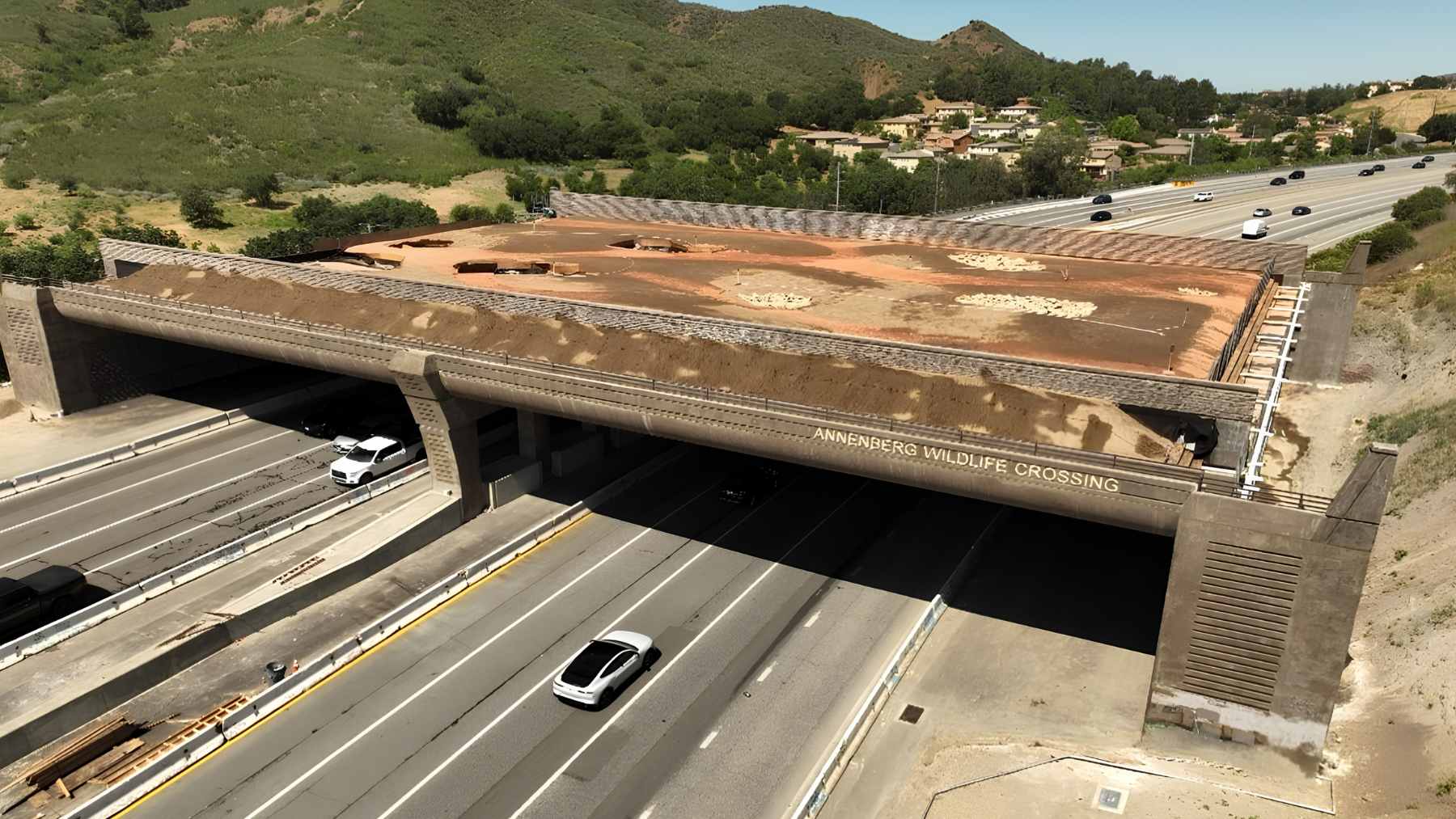 An architectural rendering of a lush, plant-covered wildlife bridge spanning across a busy multi-lane highway in Southern California.