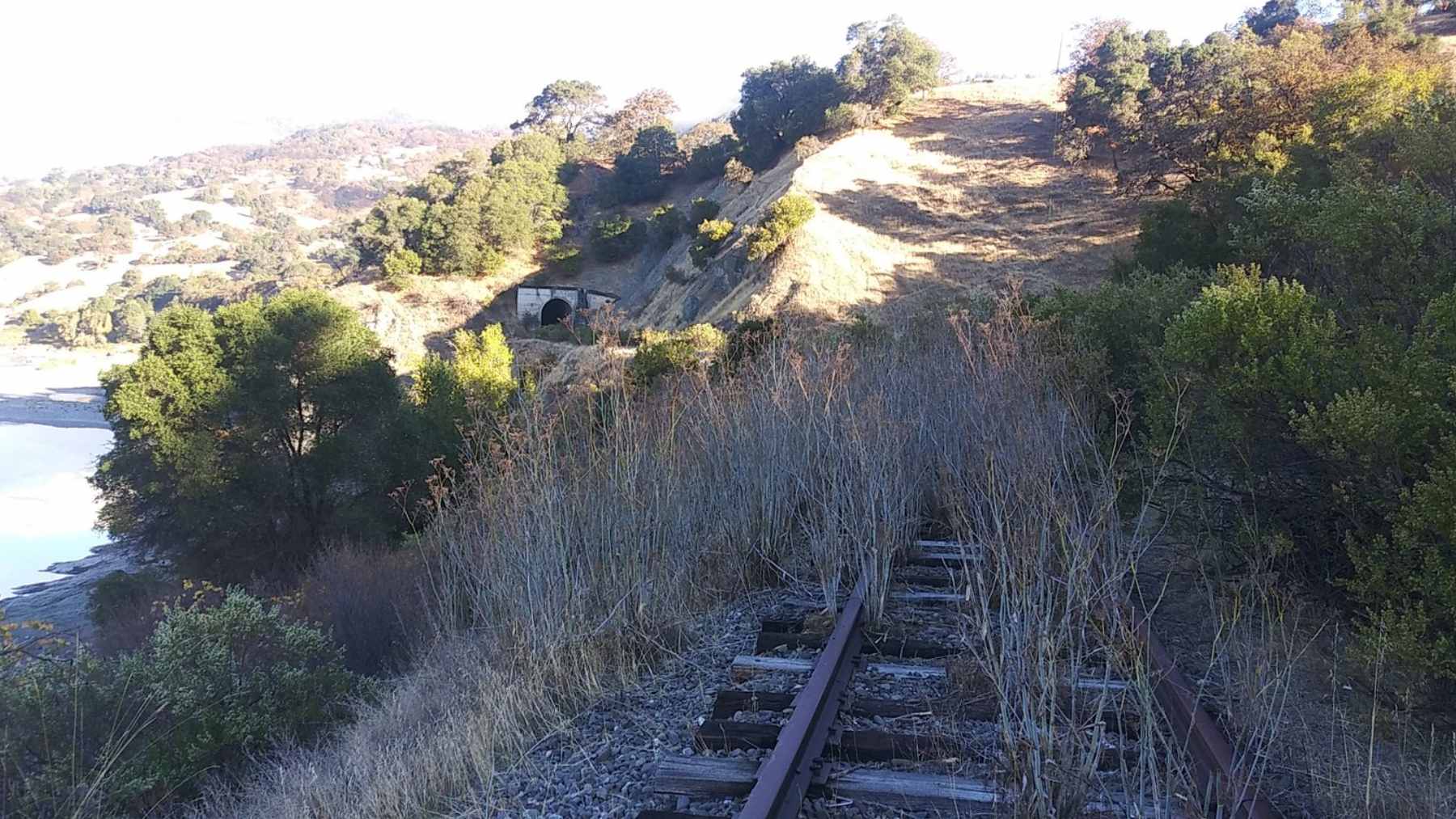 A scenic view of a redwood forest corridor in Northern California where an abandoned Northwestern Pacific Railroad track is being converted into the Great Redwood Trail.