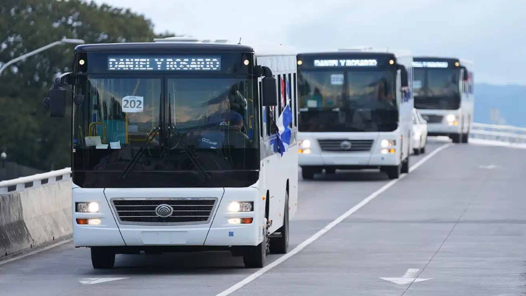 A long line of bright new Yutong buses and microbuses parked in a formation in Managua, Nicaragua.