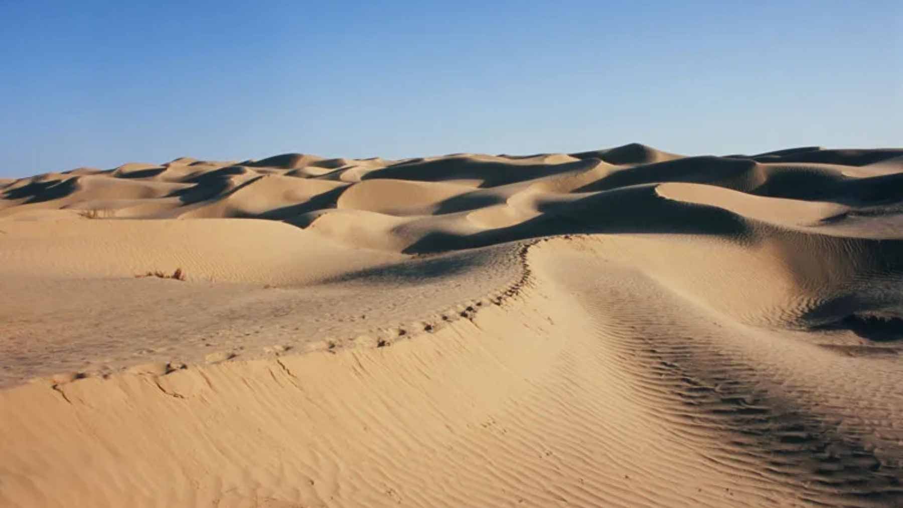 Industrial basalt fiber application being installed to stabilize soil and prevent sand erosion in the Taklamakan Desert.