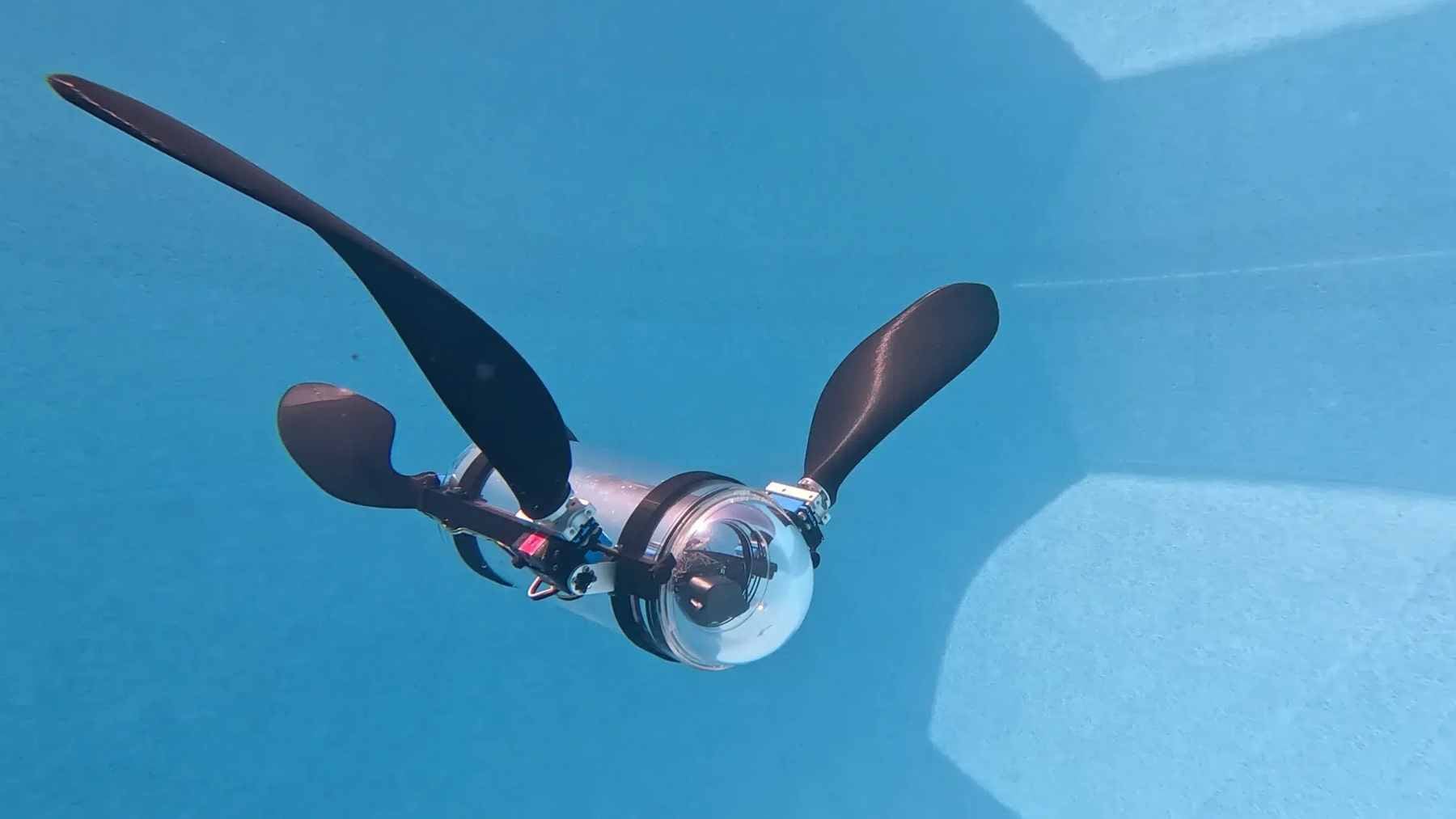 A close-up of Evan Budz’s bionic robotic turtle, BURT, showing the front propulsion flippers and acrylic body housing the AI sensor suite.