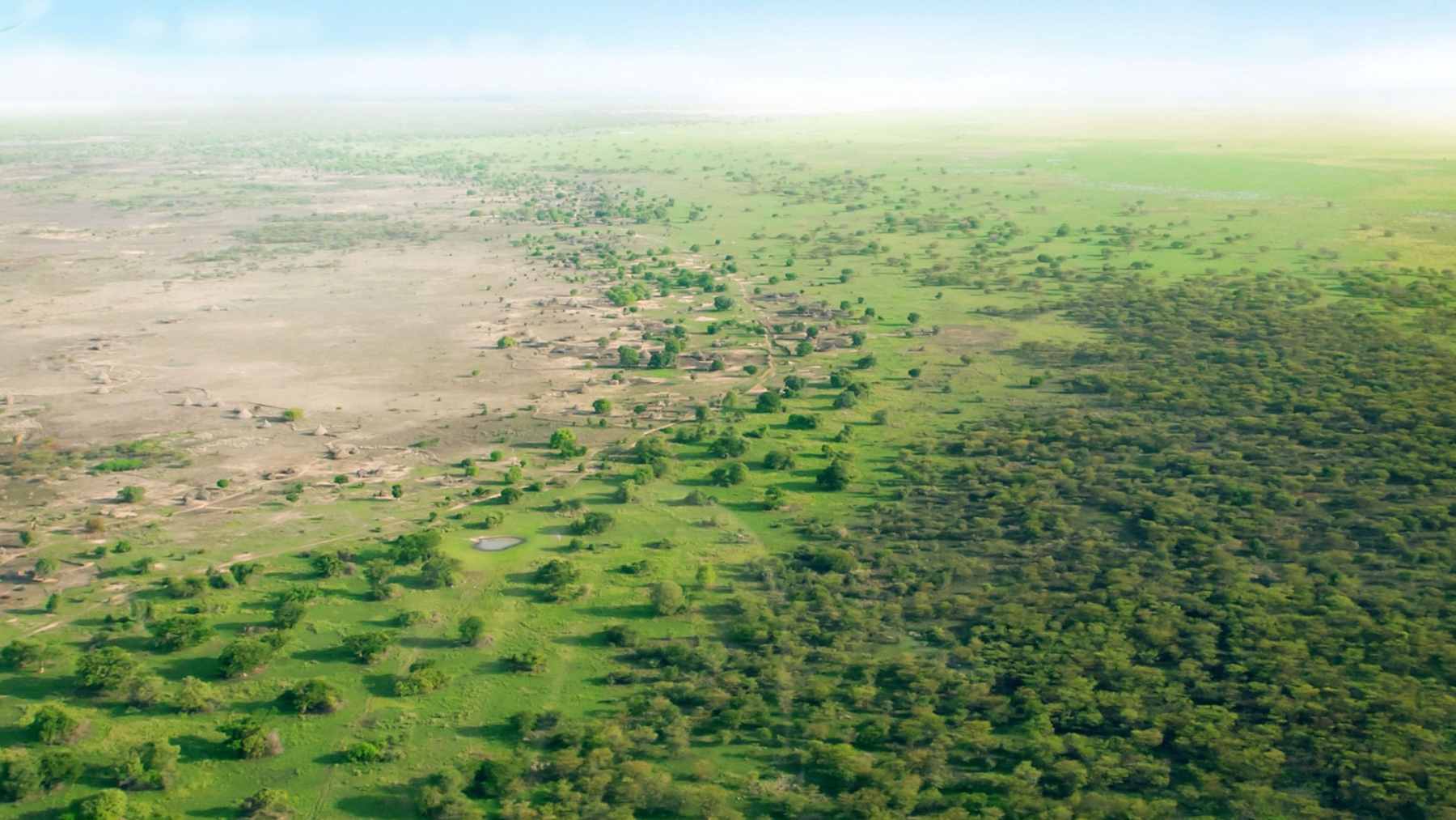 Africa is trying to stop the Sahara with an 5,000-mile green wall, but the hardest enemy is not only the desert 1 A landscape view of diverse vegetation and restored soil patches within the Great Green Wall initiative in the Sahel region.