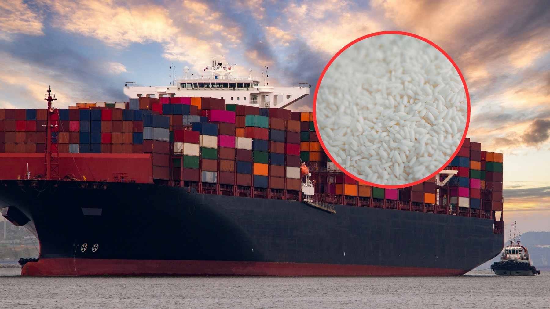 Large cargo ship carrying agricultural exports through international waters.