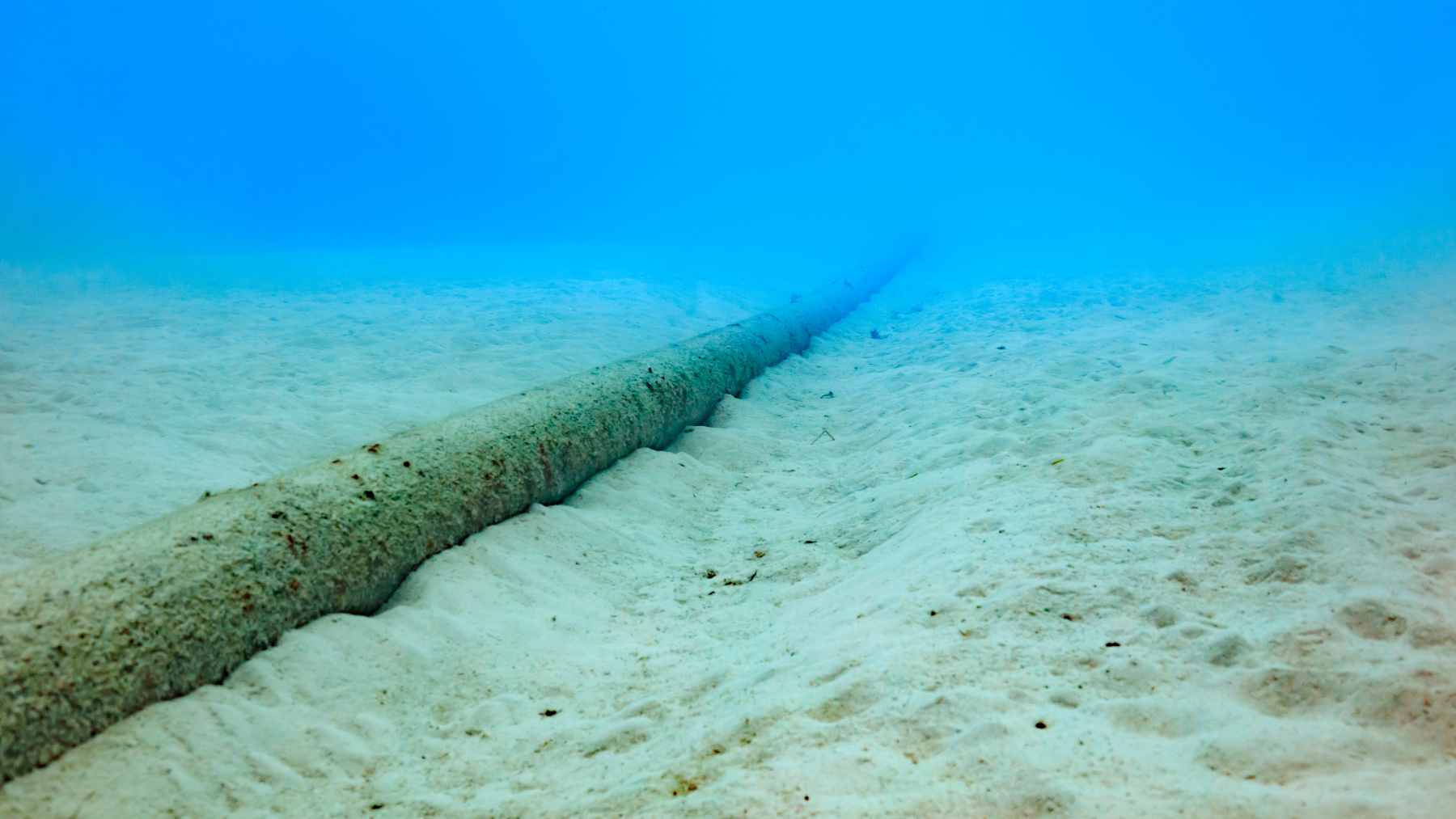 A digital map rendering showing the planned subsea route of Google's Humboldt cable, connecting the Chilean coast to Australia and Panama.