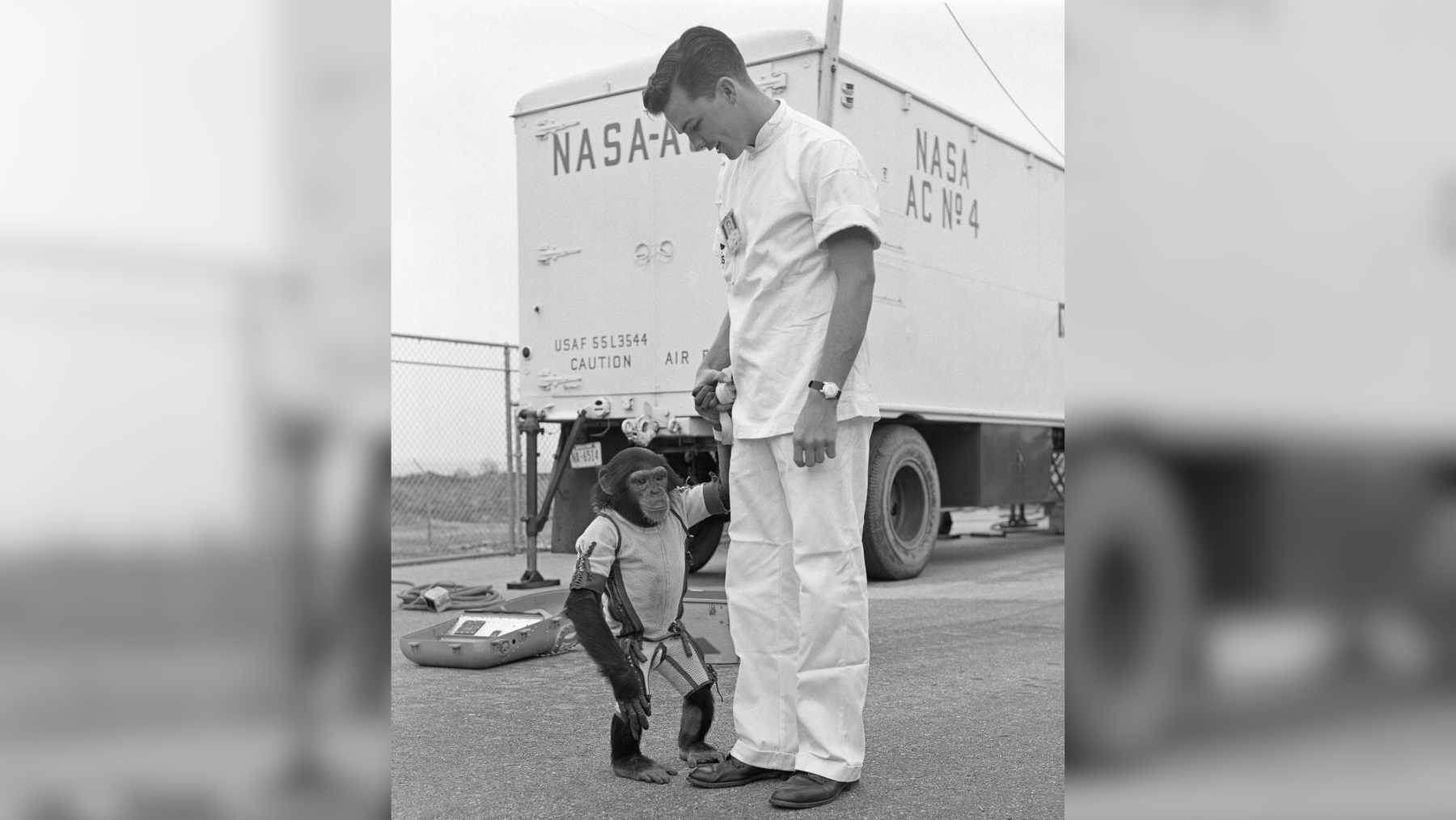 In 1961, a young chimp flew into space and came back alive, but the forgotten mission reveals how brutal the first space race really was 1 Ham the chimpanzee in his space suit being fitted into the Mercury-Redstone 2 capsule prior to his 1961 flight.