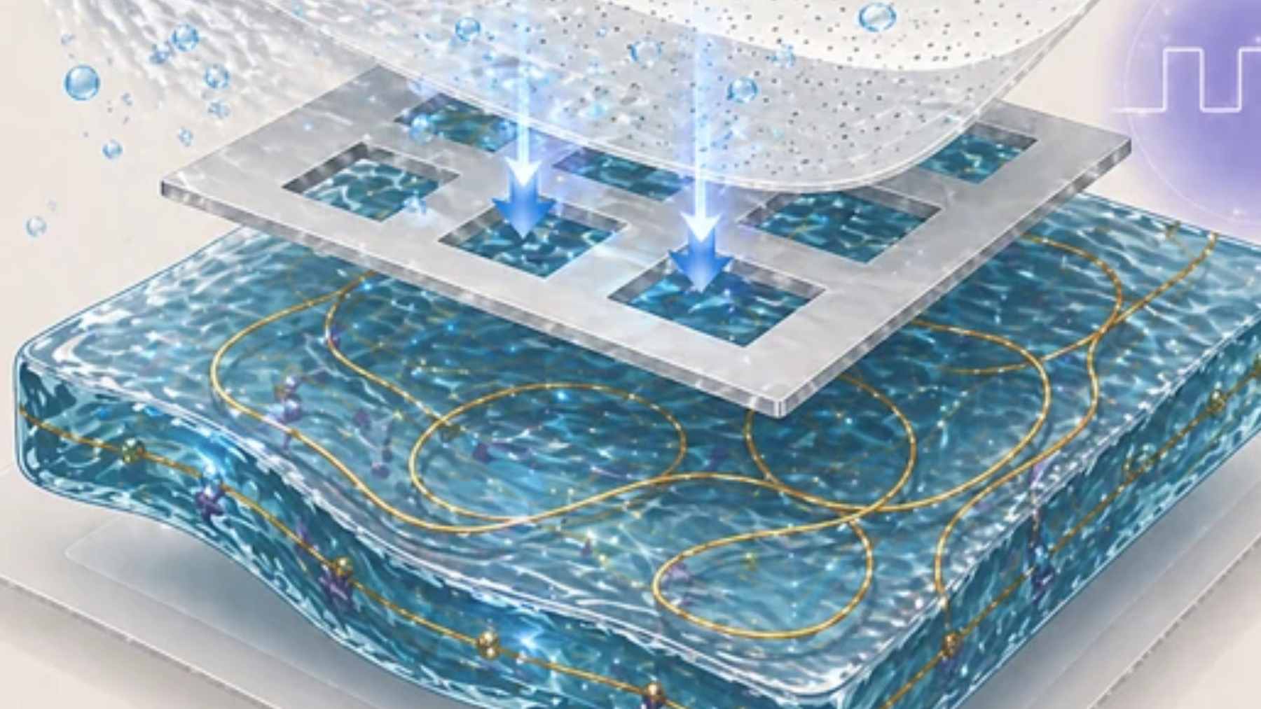 A flexible hydrogel moisture-electric generator patch attached to a human wrist, harvesting energy from ambient humidity to power wearable sensors.