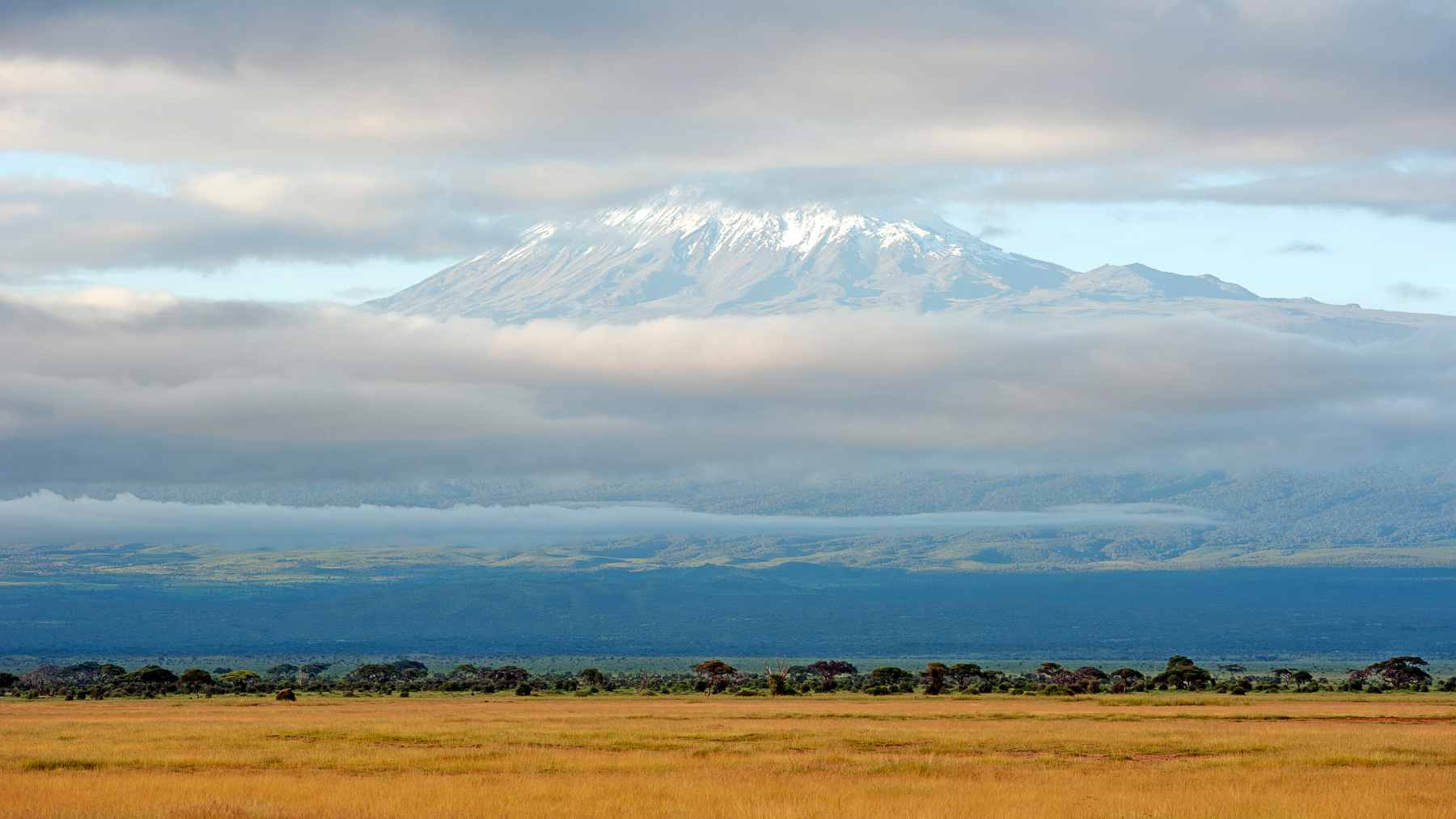 A landscape view of Mrima Hill in Kenya, a critical site for potential rare-earth mineral development and domestic processing initiatives.