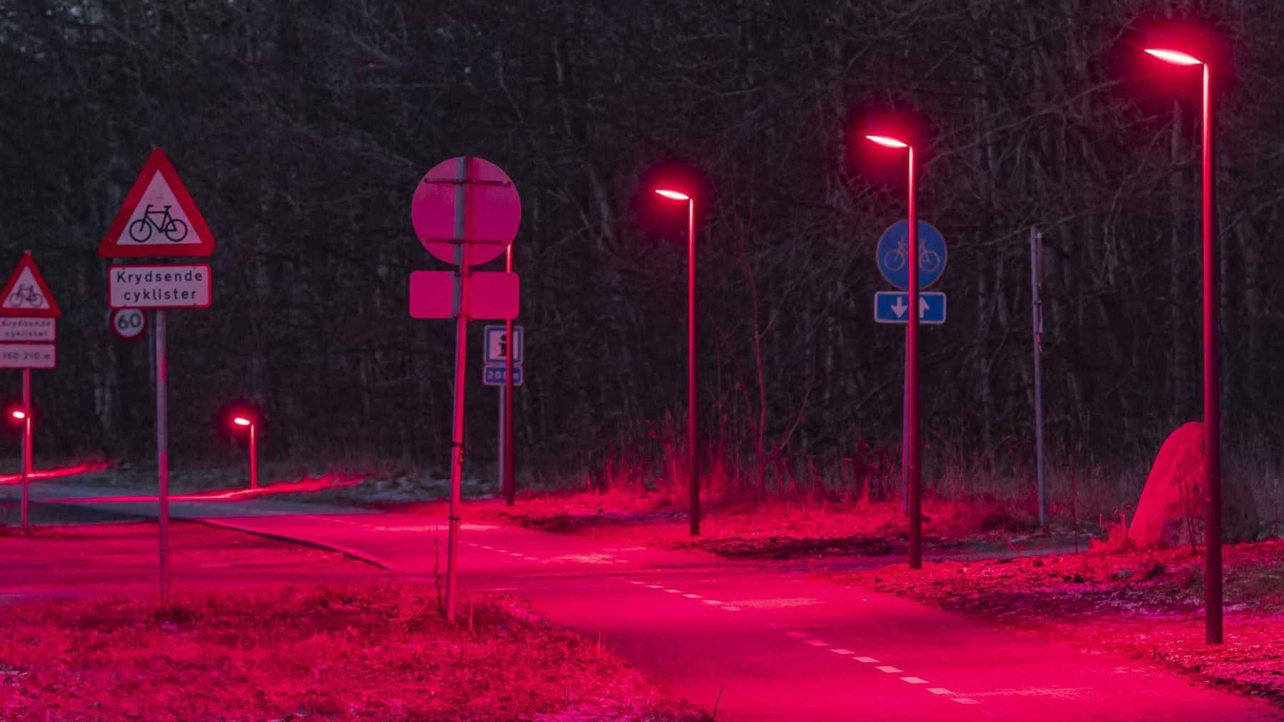 A cycling path in Denmark illuminated by low-profile, red LED bollard lights to accommodate bat flight paths.