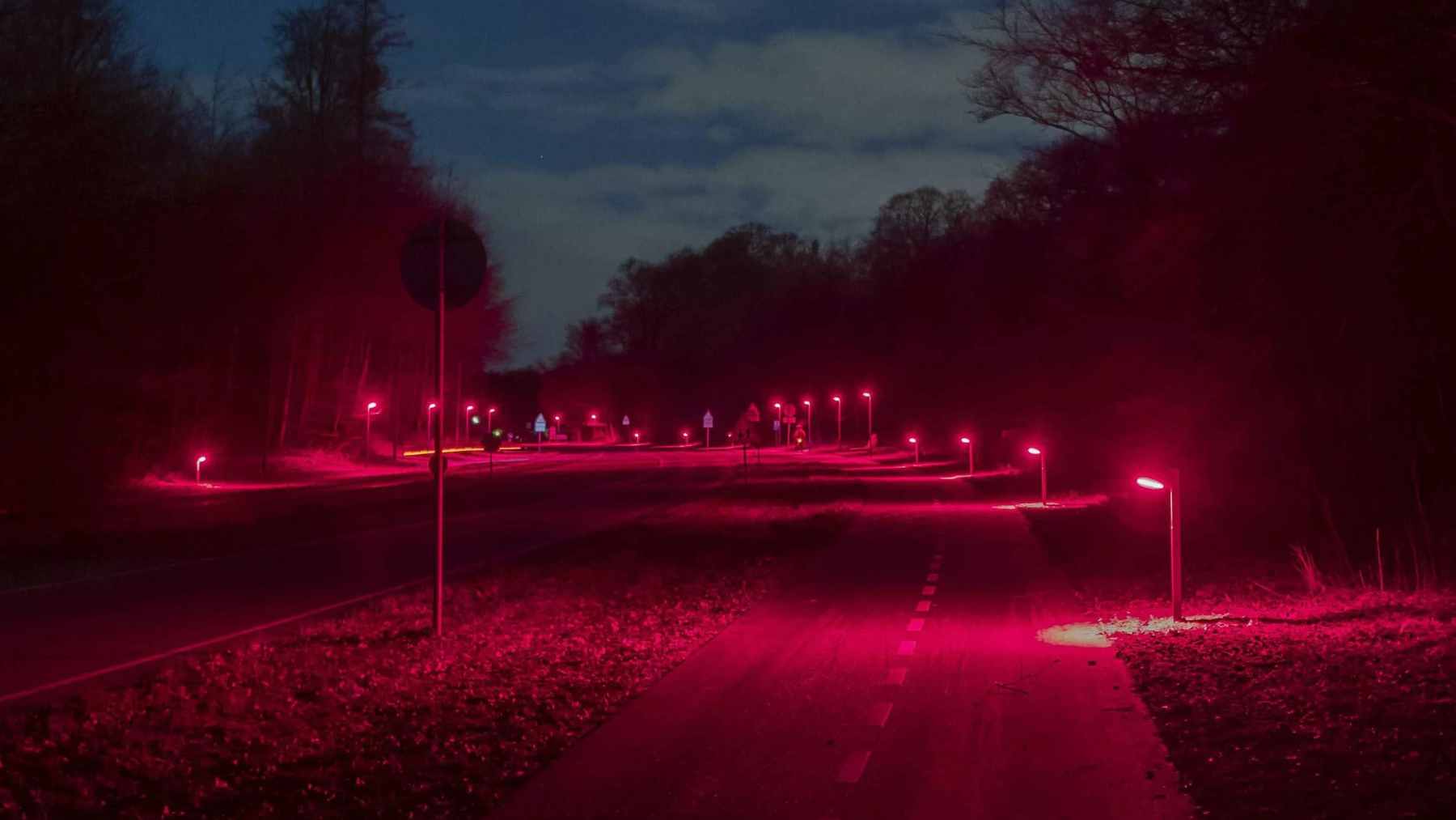 A cycling path in Denmark illuminated by low-profile, red LED bollard lights to accommodate bat flight paths.