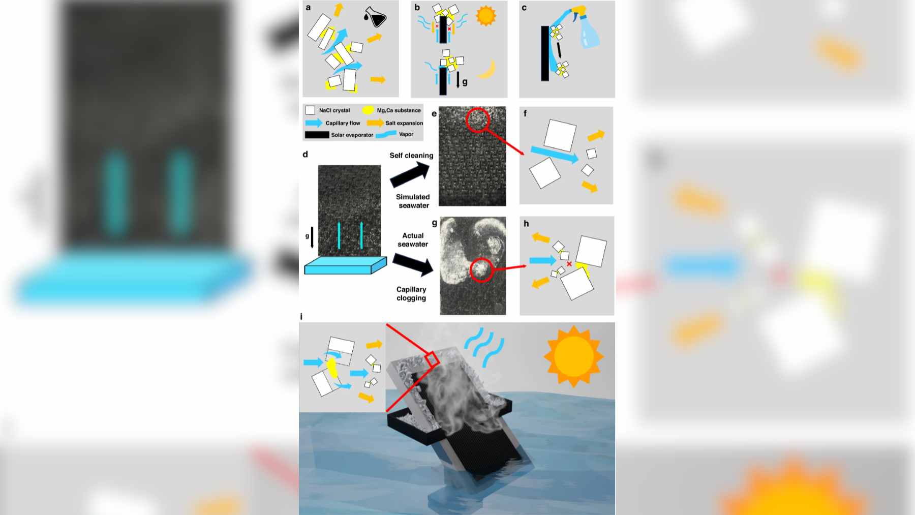 Scientists built a solar desalination system that makes fresh water without toxic brine, and drought regions will notice 1 A close-up of a laser-etched black metal solar panel used for seawater desalination and mineral extraction.