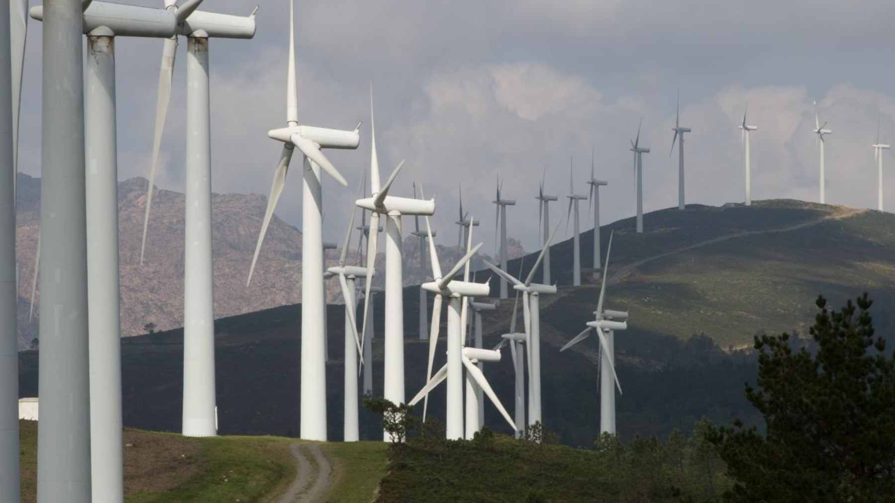 A huge wind farm cleared a green hurdle by lifting turbine blades above cockatoos, and wildlife is now changing the engineering 1 A wind turbine operating in a rural landscape, representing how renewable energy projects are integrating wildlife protection into their engineering designs.