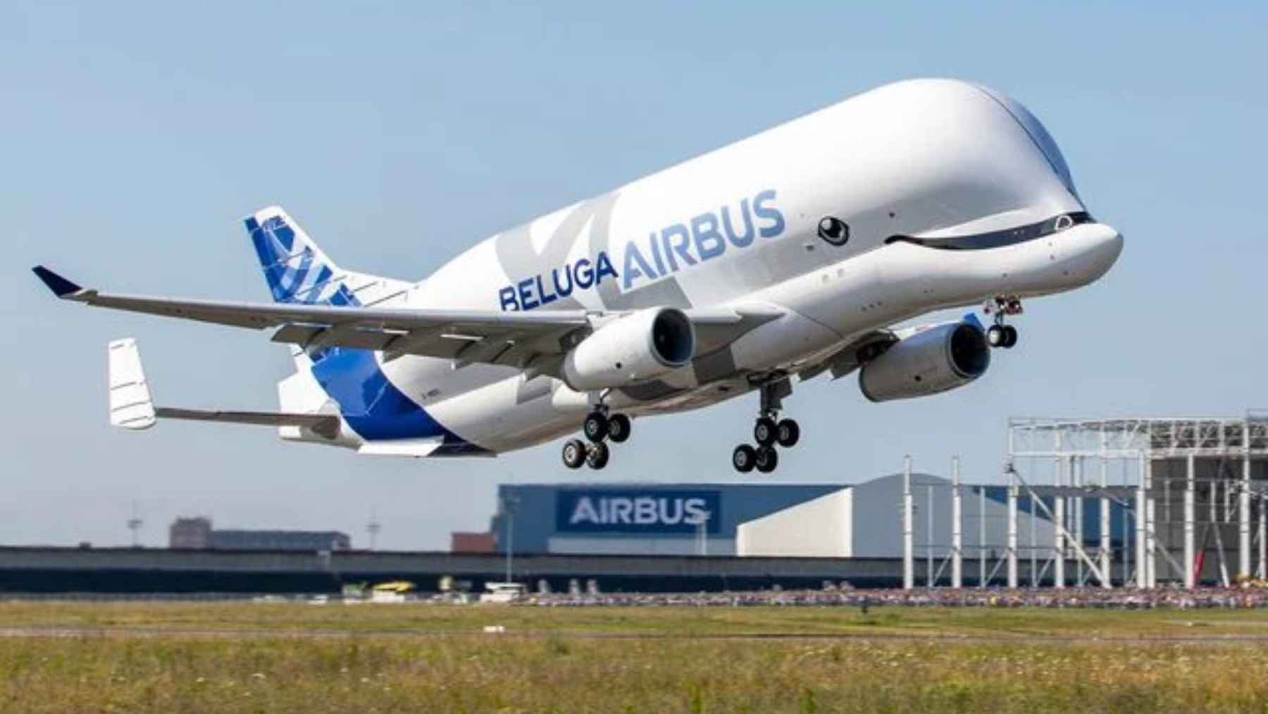 The Airbus BelugaXL cargo aircraft flying overhead, showcasing its unique whale-shaped fuselage design used for transporting oversized parts.