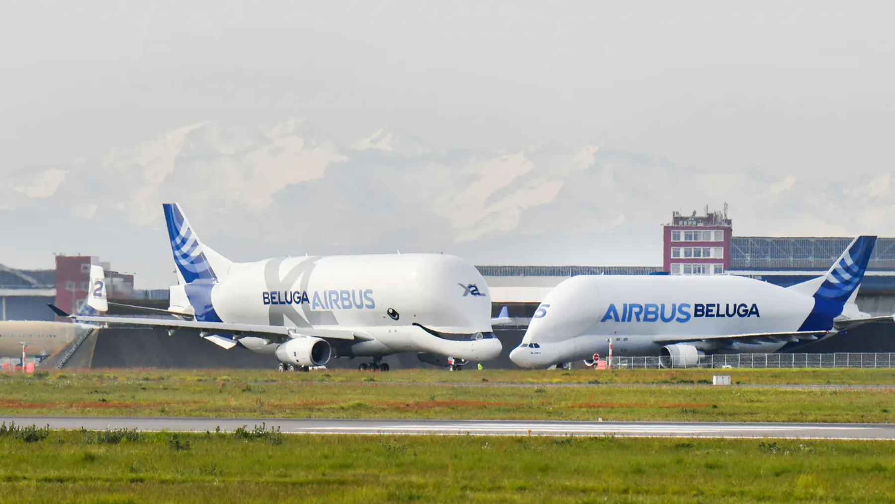 Meet the Airbus Beluga XL: the world's strangest-looking cargo plane that is rewriting Airbus's future 2 An Airbus BelugaXL cargo aircraft in flight, showcasing its distinctive whale-shaped fuselage designed for transporting large aerospace components between European factories.