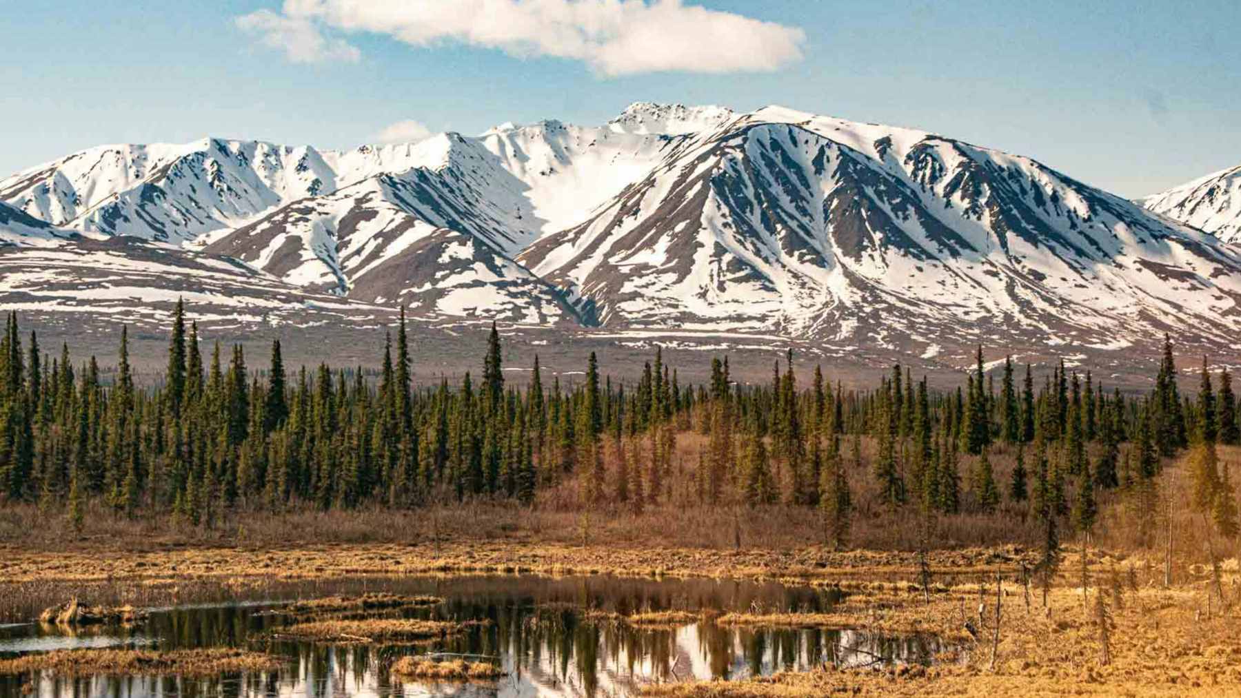 A section of industrial pipeline traversing the Alaskan landscape, representing the scale of the proposed $50 billion Alaska LNG project.