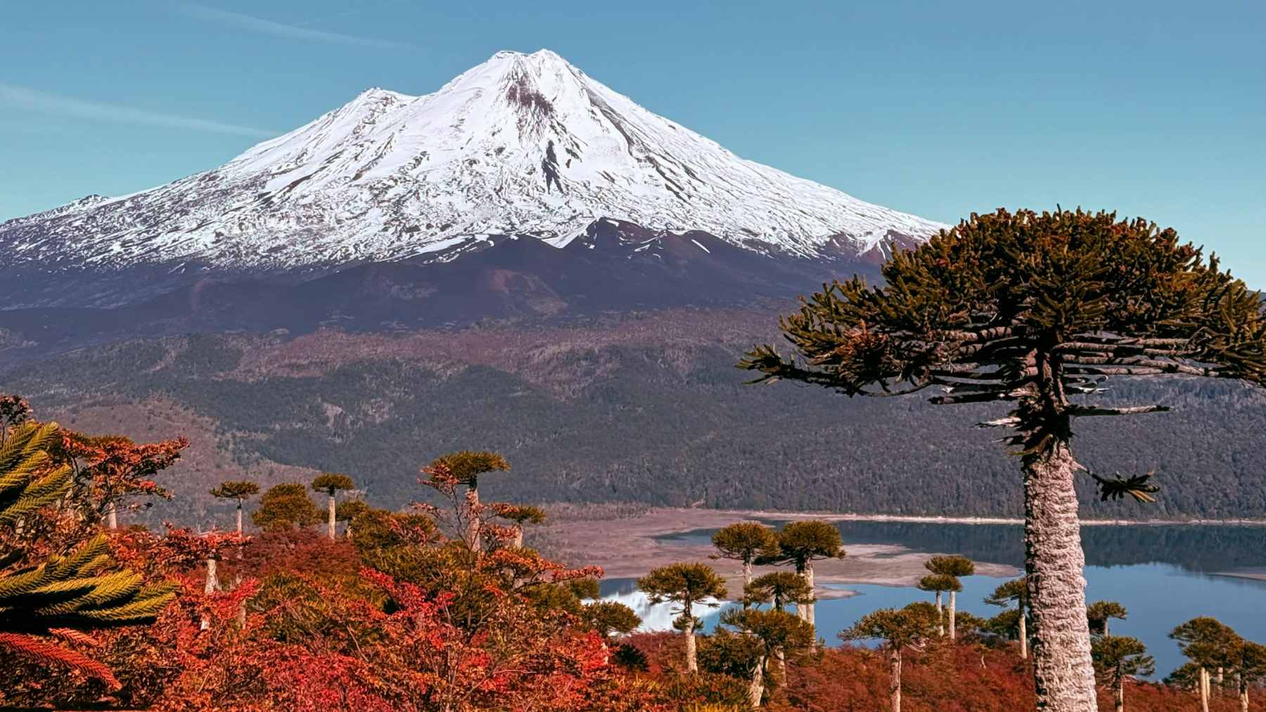 A private consortium wants to build a 33.5-mile-long rail tunnel through the Andes to connect Argentina and Chile, but this $9.6 billion megaproject still has to navigate a mountain of red tape to obtain the necessary permits 1 Conceptual rendering of the proposed Corredor Bioceánico Longotoma tunnel, an electrified rail project designed to link Uspallata, Argentina, with Valparaíso, Chile.