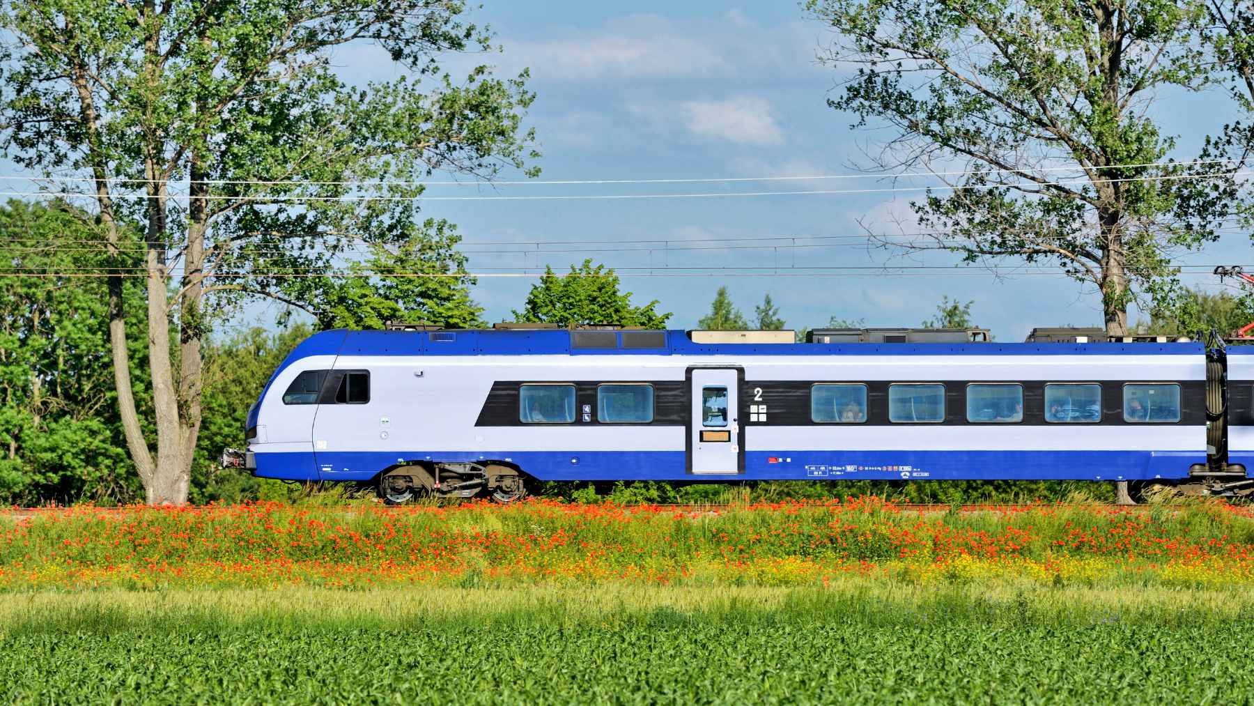 A digital rendering showing the proposed twin-tube rail tunnel beneath the Andes Mountains, connecting Argentina and Chile.