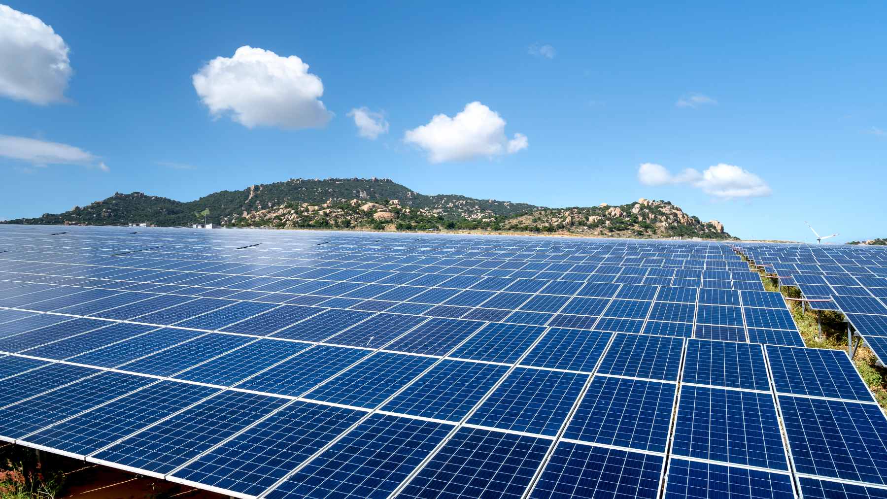 A residential neighborhood in Australia featuring multiple homes equipped with rooftop solar panels, representing the country's global lead in household solar adoption.