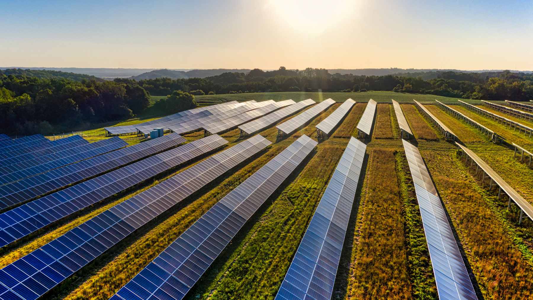 Rows of residential houses in an Australian suburb featuring extensive rooftop solar panel installations.