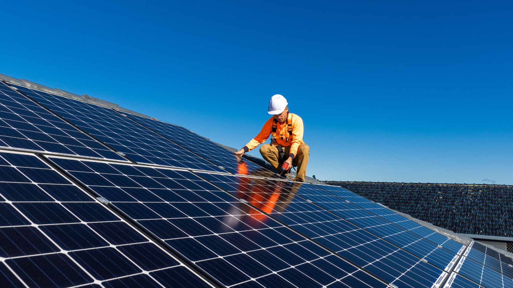 Rows of residential houses in an Australian suburb featuring extensive rooftop solar panel installations.