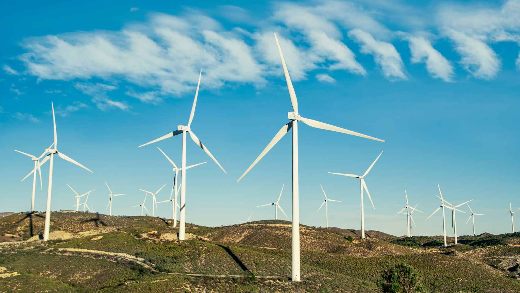 Nova Scotia approved its largest onshore wind farm ever: 158 turbines rising across the east from 2029 2 A series of large wind turbines standing on a coastal landscape, representing Nova Scotia's Ocean Lake Wind Project approval for up to 158 turbines in Guysborough County.