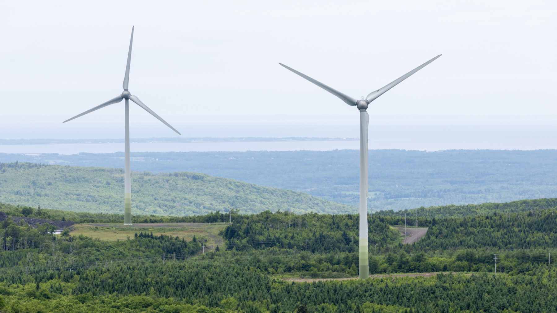 Nova Scotia approved its largest onshore wind farm ever: 158 turbines rising across the east from 2029 1 Modern utility-scale wind turbines installed in a rural landscape, representing renewable energy expansion in Nova Scotia.