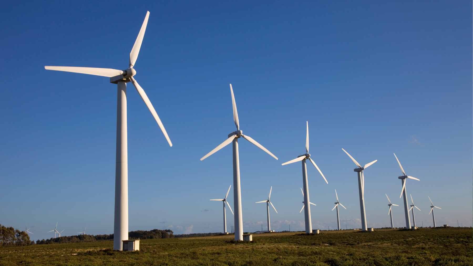 Modern utility-scale wind turbines installed in a rural landscape, representing renewable energy expansion in Nova Scotia.