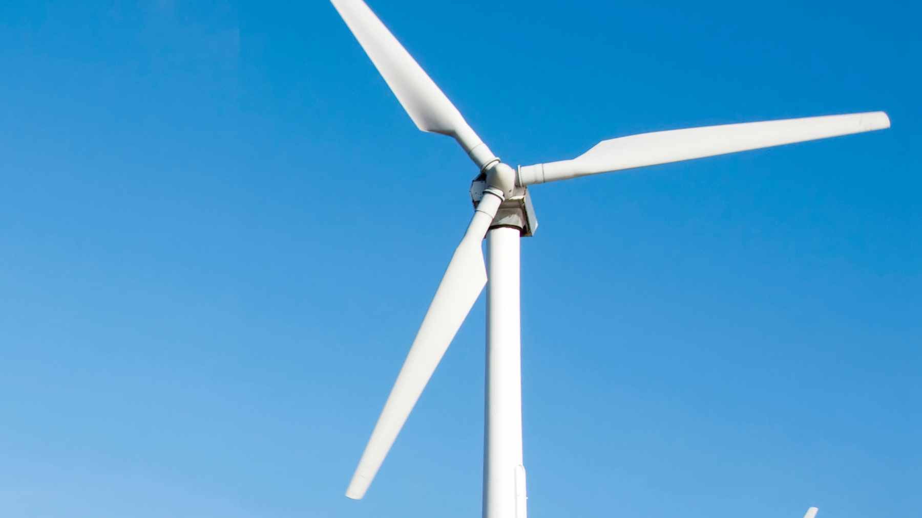 A massive wind farm landscape showing rows of turbines connected to high-voltage transmission lines in the New Mexico desert.