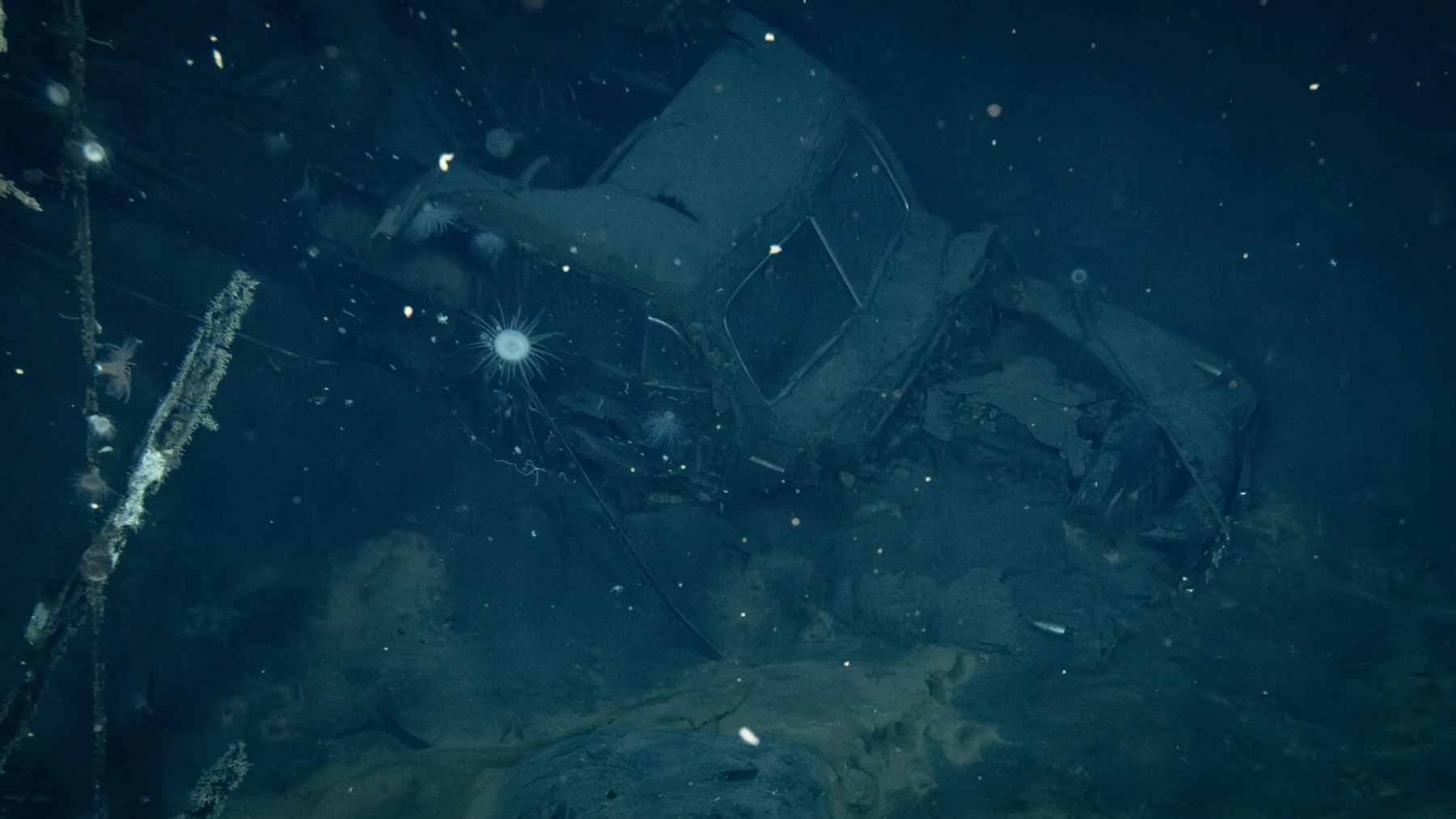 A 1941 Ford was found on a sunken WWII carrier three miles down in the Pacific: the USS Yorktown's lost cargo 2 The wreckage of a 1941 Ford Super Deluxe "Woody" station wagon resting on the hangar deck of the sunken USS Yorktown, documented three miles underwater.