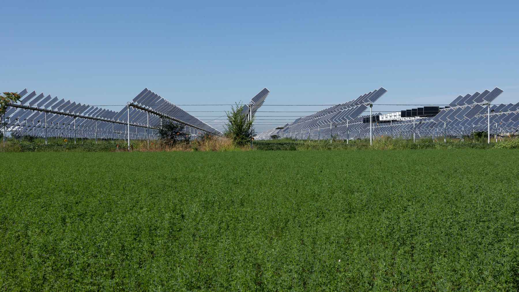 Agrivoltaic solar panels installed over farmland in Romania, representing dual land use for energy and agriculture.