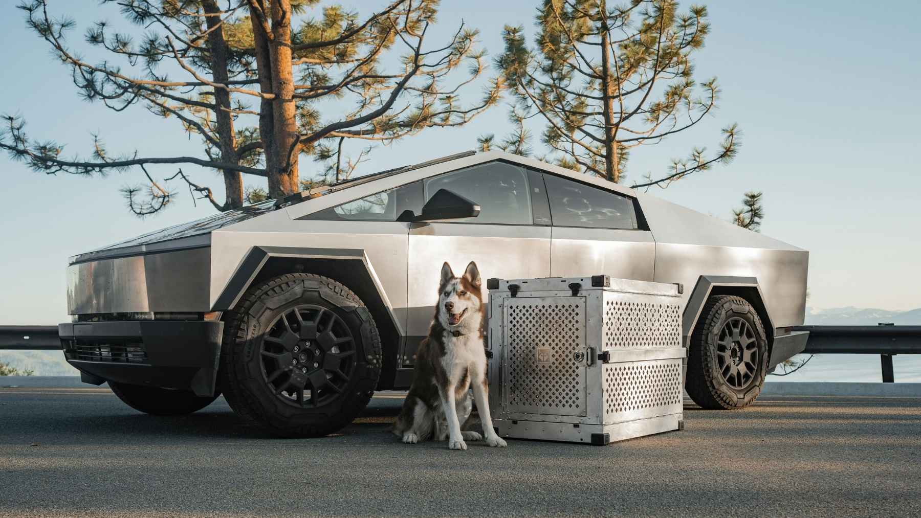 A Tesla Cybertruck and a Ford F-150 parked side by side, representing electric versus gasoline pickup truck operating costs.