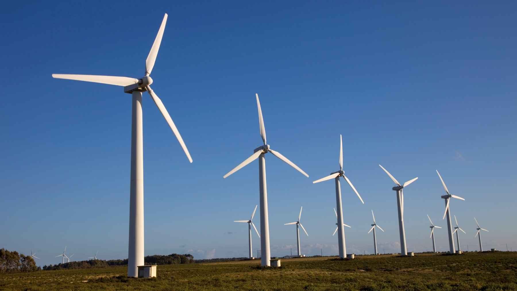Twenty Dutch wind turbines were forced to stop after a sea eagle turned up dead beneath one 2 Large white-tailed sea eagle flying near modern wind turbines, representing the balance between renewable energy development and wildlife protection.