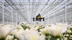 Utilizan el cerebro de las abejas para crear drones diminutos capaces de regresar a su base sin mapas ni GPS